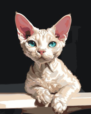 Картина по номерам Кошки: Котенок Девон рекс