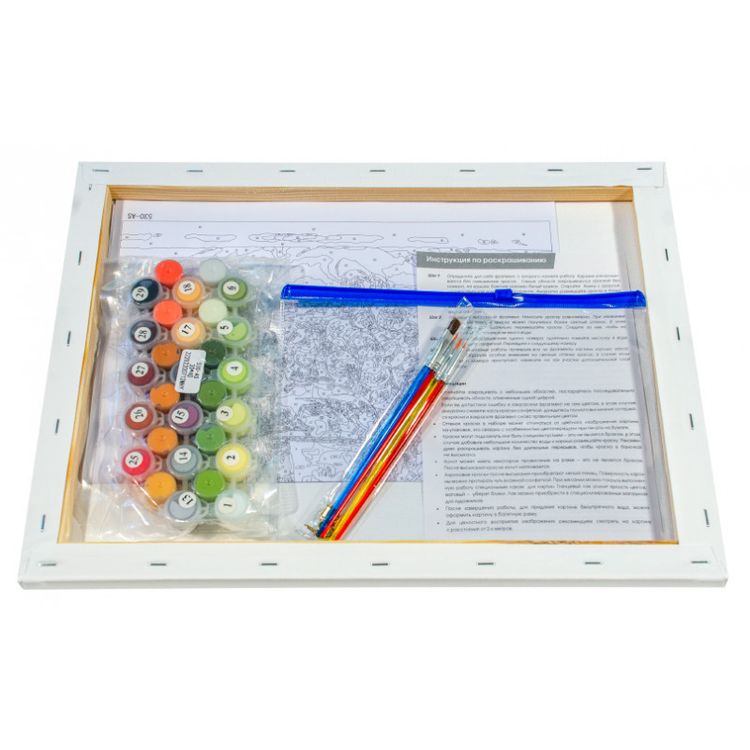 Картина по номерам «Натюрморт с ракушкой» — картинка 3