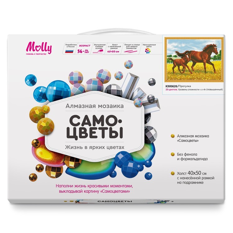 Алмазная вышивка «Прогулка» — картинка 3