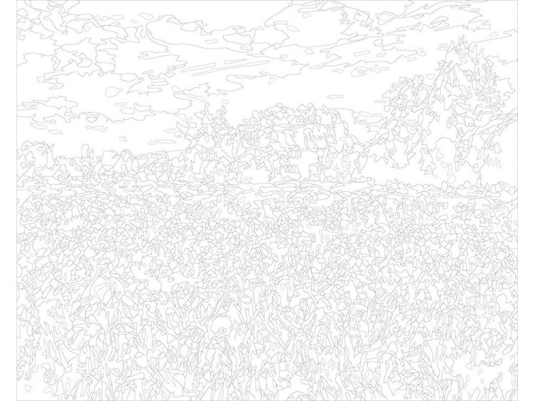 Картина по номерам «Поле цветов» — картинка 3