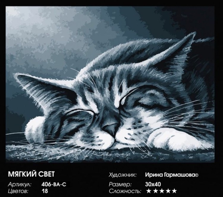 Картина по номерам «Мягкий свет» — картинка 2