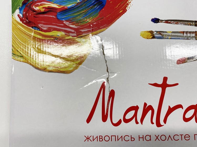 УЦЕНКА. Картина по номерам «Пион» (порвана коробка) — картинка 3