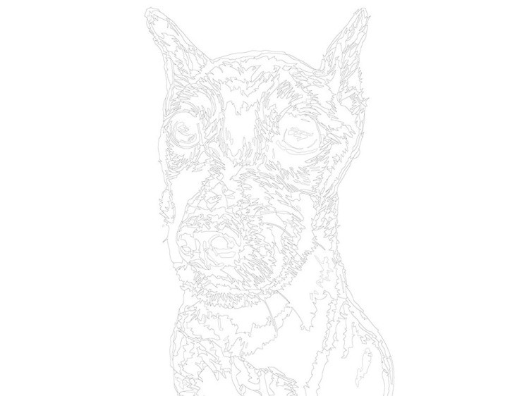 Картина по номерам «Элиот» — картинка 3