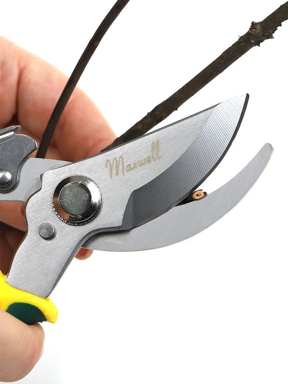 Секатор Maxwell изогнутое лезвие, 60/200 мм, ручки желто-зеленый пластик — картинка 10