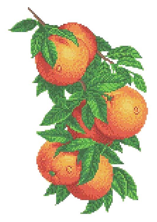 Рисунок на ткани «Ветка с апельсинами»