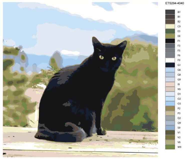 Картина по номерам «Черный кот» — картинка 2