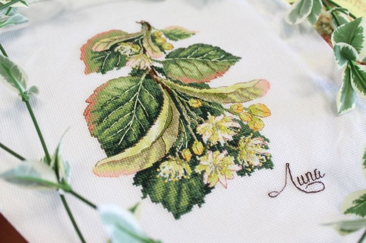 Набор для вышивания «Дары природы. Липа» — картинка 3