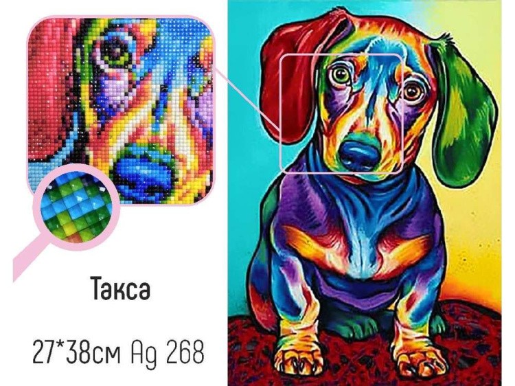 Алмазная вышивка «Такса» — картинка 2