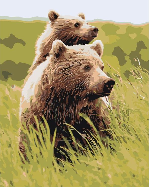 Картина по номерам «Бурые медведи»