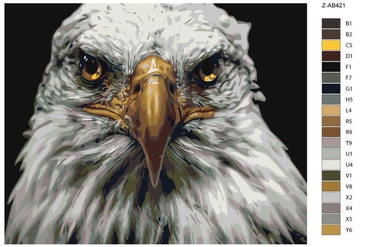 Картина по номерам «Орел» — картинка 2