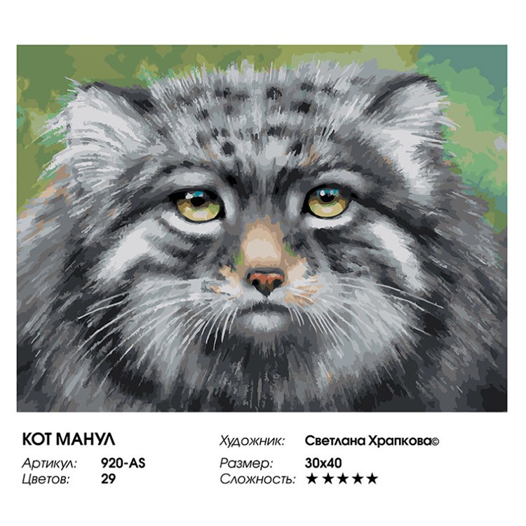 Картина по номерам «Кот манул» — картинка 2