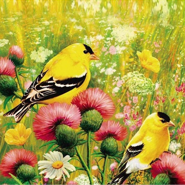 Картина по номерам «Иволги» — картинка 2