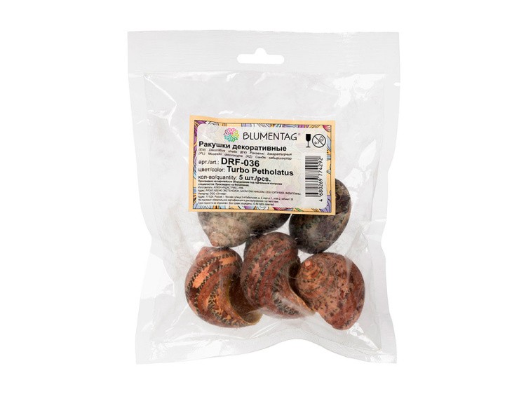 Ракушки декор Turbo Petholatus, DRF-036, 0.75-1.5 дюйма, 5 шт., Zlatka/Blumentag — картинка 2