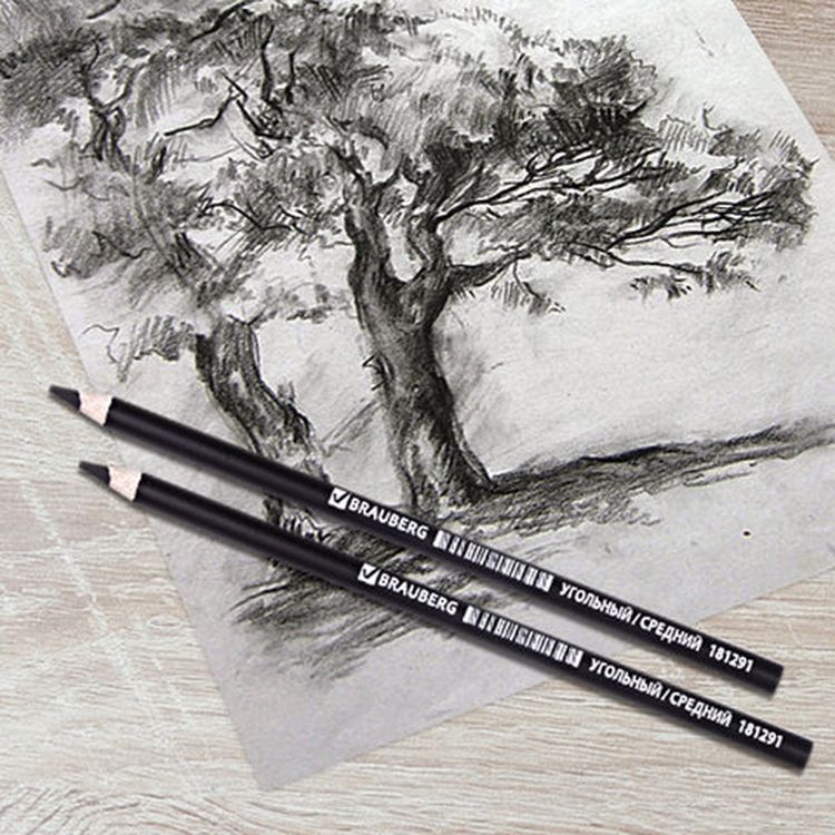 Карандаш угольный BRAUBERG ART CLASSIC, 1 шт., средний, круглый, корпус черный, заточенный — картинка 3