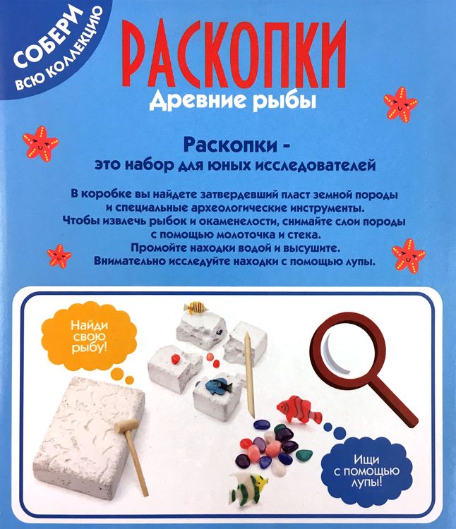 Большой набор для проведения раскопок «Рыбы» — картинка 2