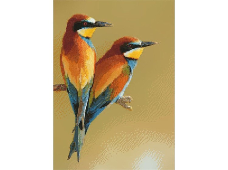 Алмазная вышивка «Яркие птички» — картинка 2