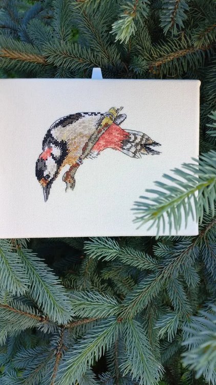 Набор для вышивания «Пёстрый дятел» — картинка 3