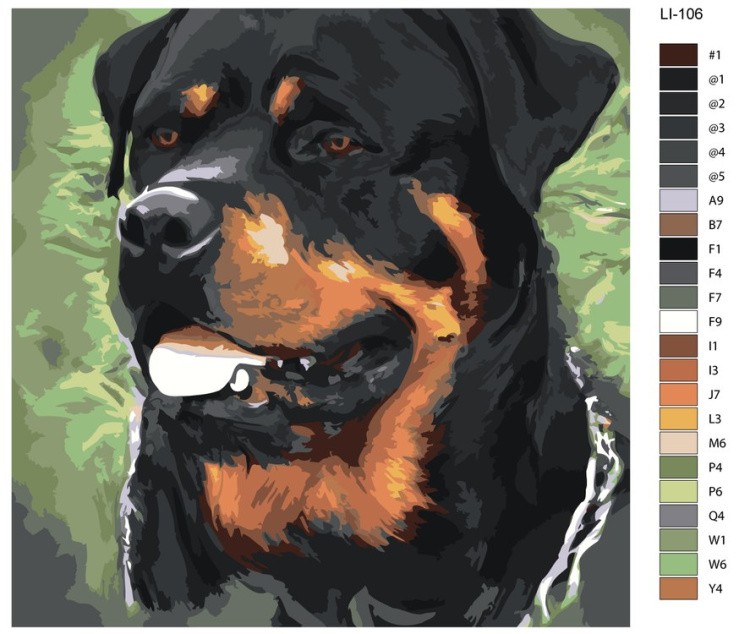 Картина по номерам «Ротвейлер» — картинка 2