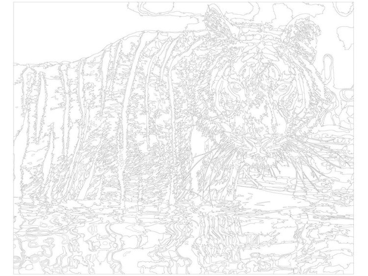 Картина по номерам «Тигр» — картинка 3