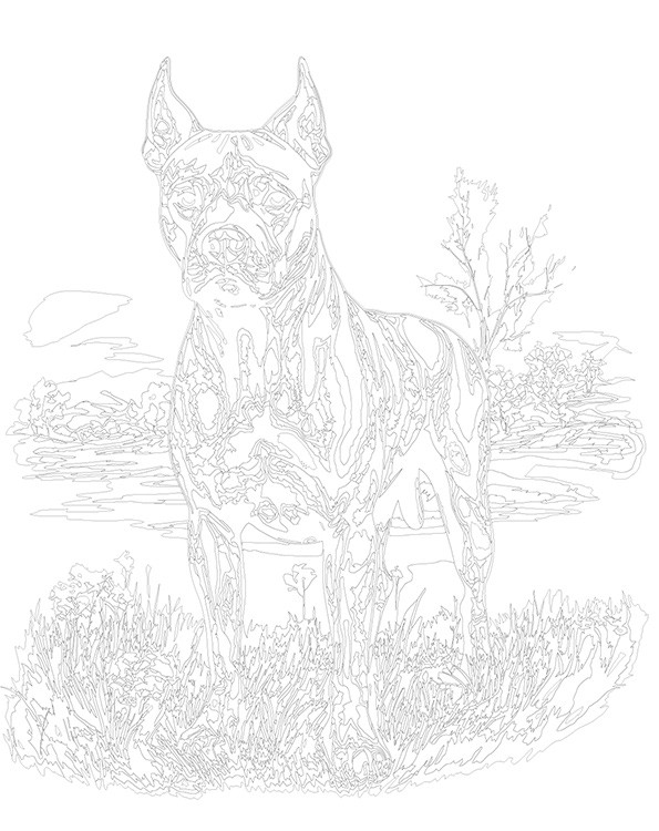 Картина по номерам «Собака Стаффорд (Стаффордширский терьер) 3» — картинка 3