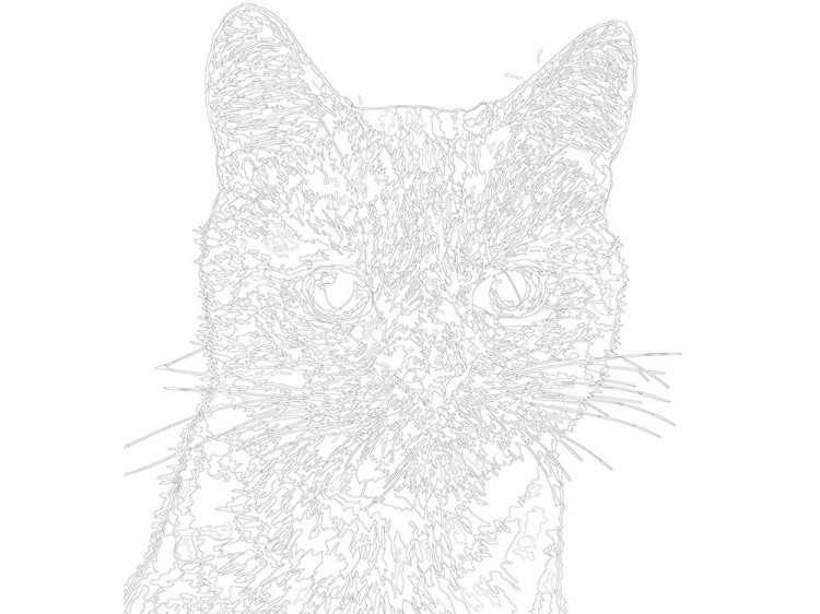 Картина по номерам «Рыжик» — картинка 3