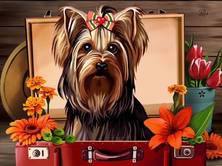 Алмазная вышивка «Мой друг» — картинка 2