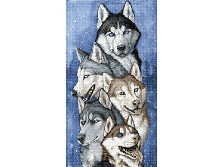 Алмазная вышивка «Упряжка хаски» — картинка 2
