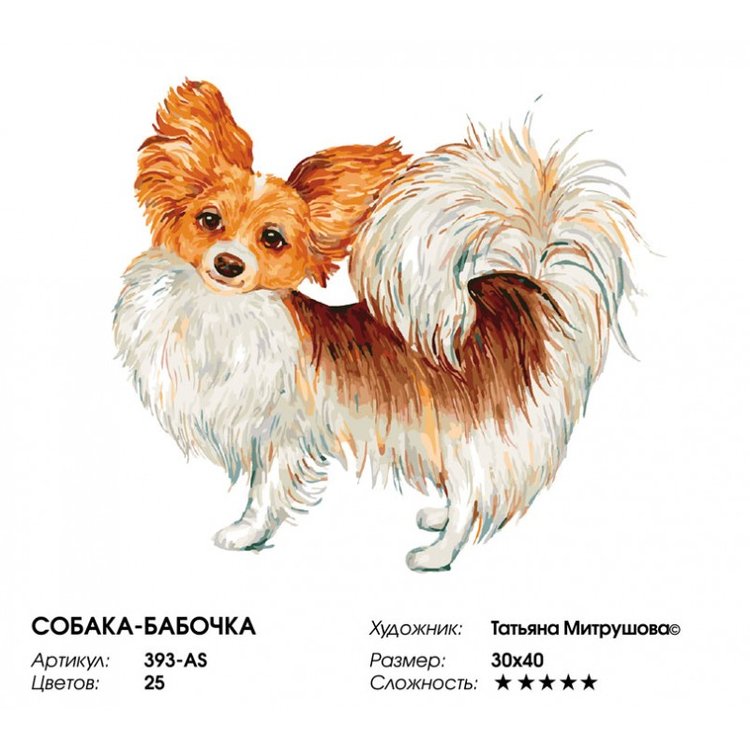 Картина по номерам «Собака-бабочка» — картинка 2