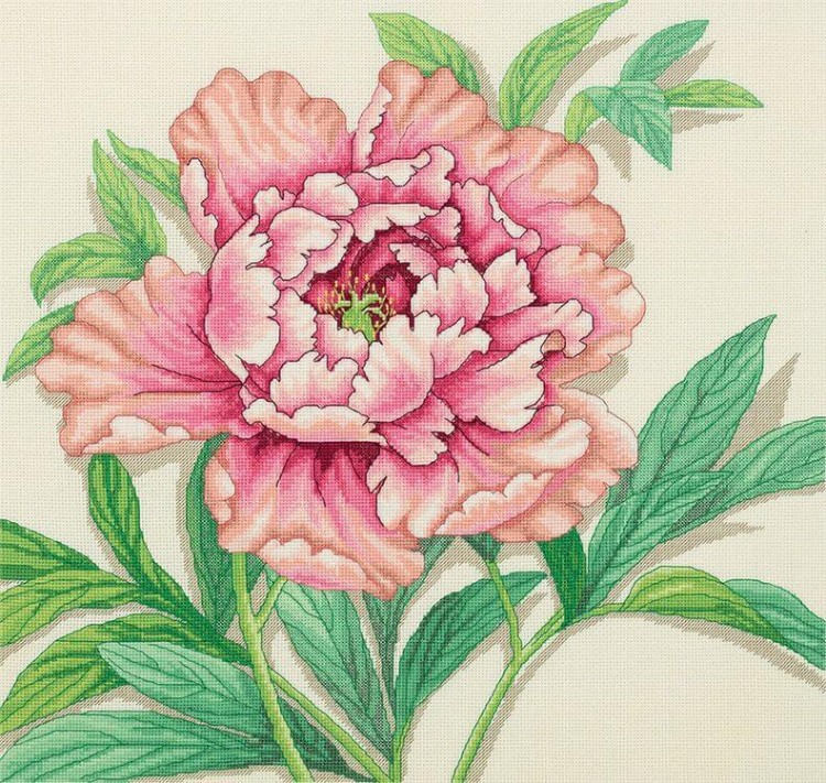 Набор для вышивания «Винтажный пион» — картинка 3