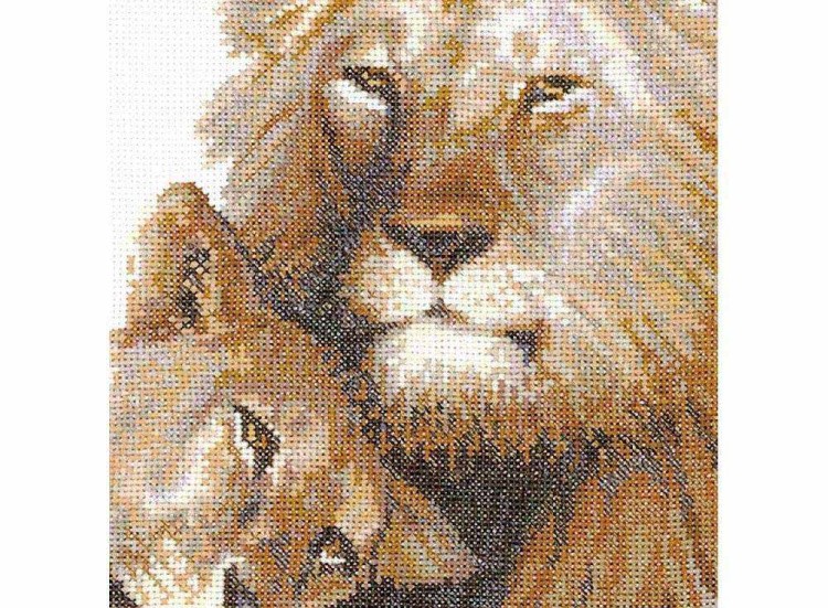 Набор для вышивания «Львиный рай» — картинка 2