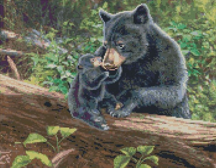 Алмазная вышивка «Медведица и медвежонок»