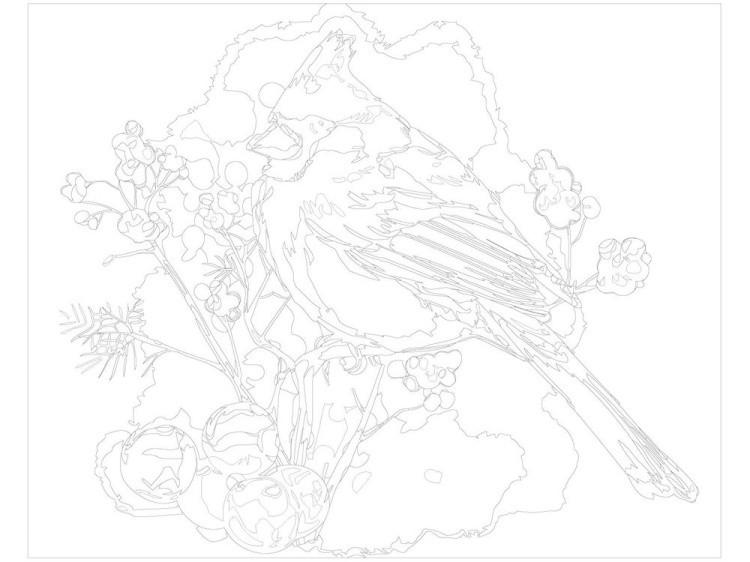 Картина по номерам «Красный кардинал» — картинка 3