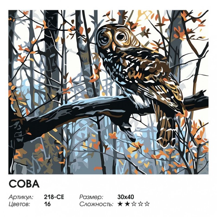 Картина по номерам «Сова» — картинка 2