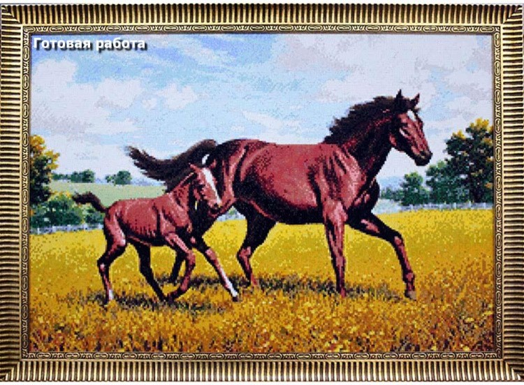 Алмазная вышивка «Донские лошади» — картинка 2