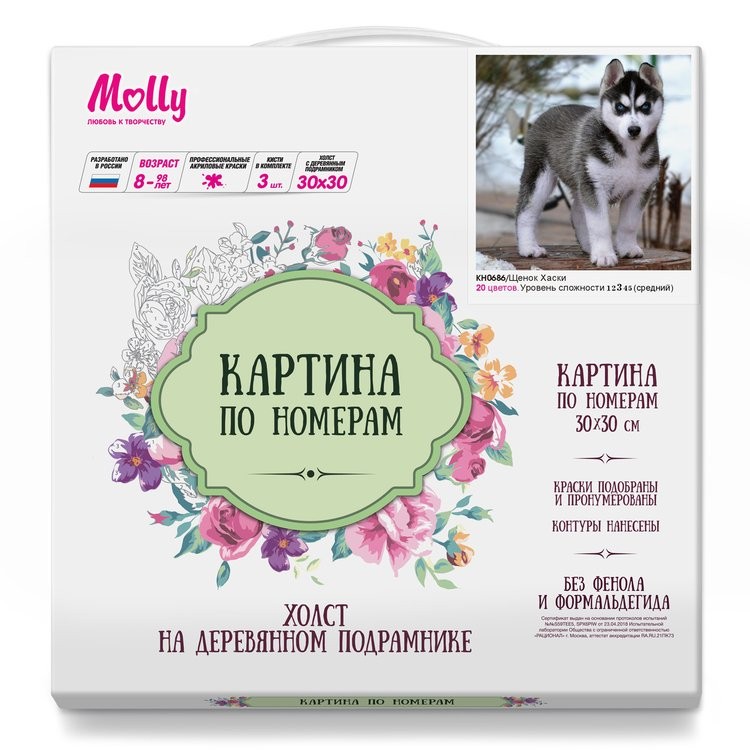 Картина по номерам «Щенок Хаски» — картинка 2