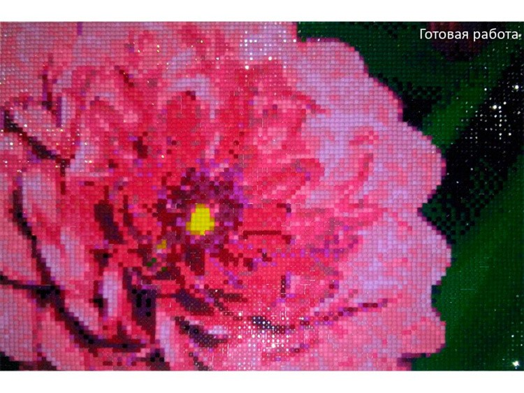 Алмазная вышивка «Георгин» — картинка 2