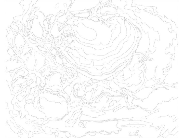 Картина по номерам «Спелый плод» — картинка 3