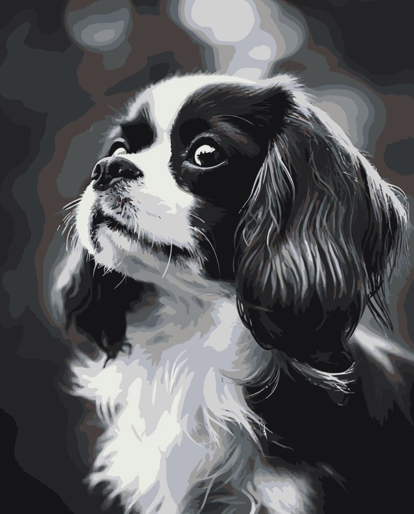 Картина по номерам «Собака Спаниель черная с белым щенок»
