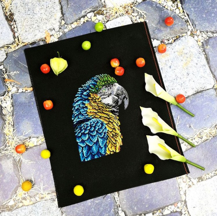 Набор для вышивания «Ара» — картинка 2