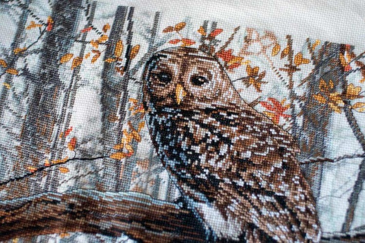 Набор для вышивания «Мудрая сова» — картинка 4