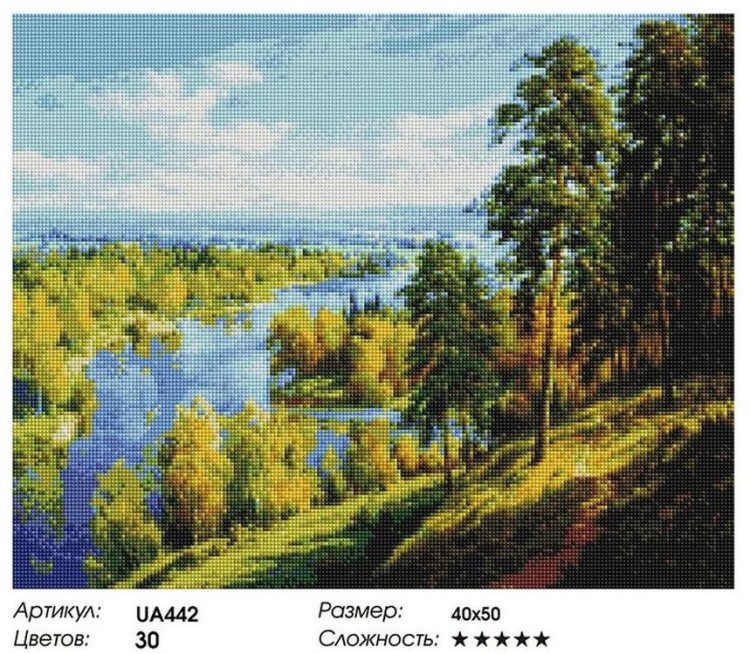 Алмазная вышивка «Русские просторы» — картинка 2