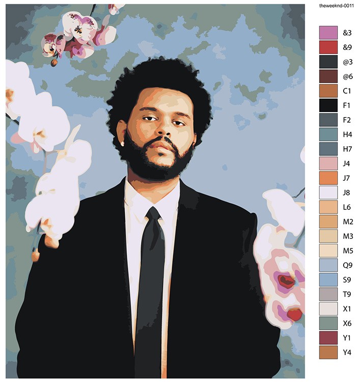 Картина по номерам «Музыкант The Weeknd с орхидеями» — картинка 2