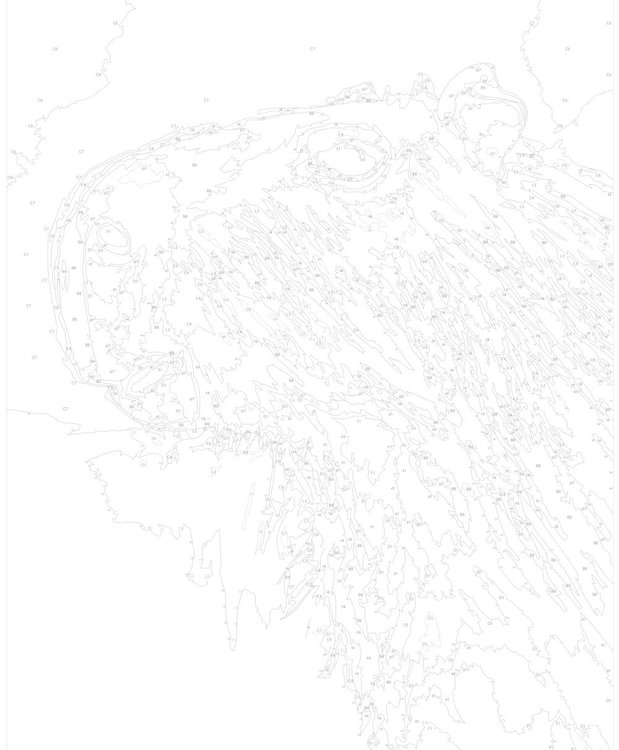 Картина по номерам «Портрет капибары» — картинка 3