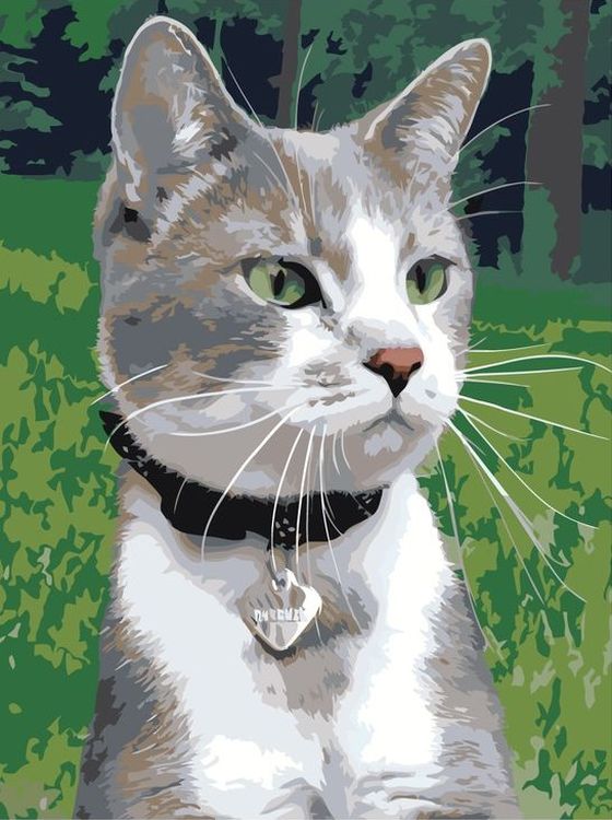 Картина по номерам «Кот на прогулке»