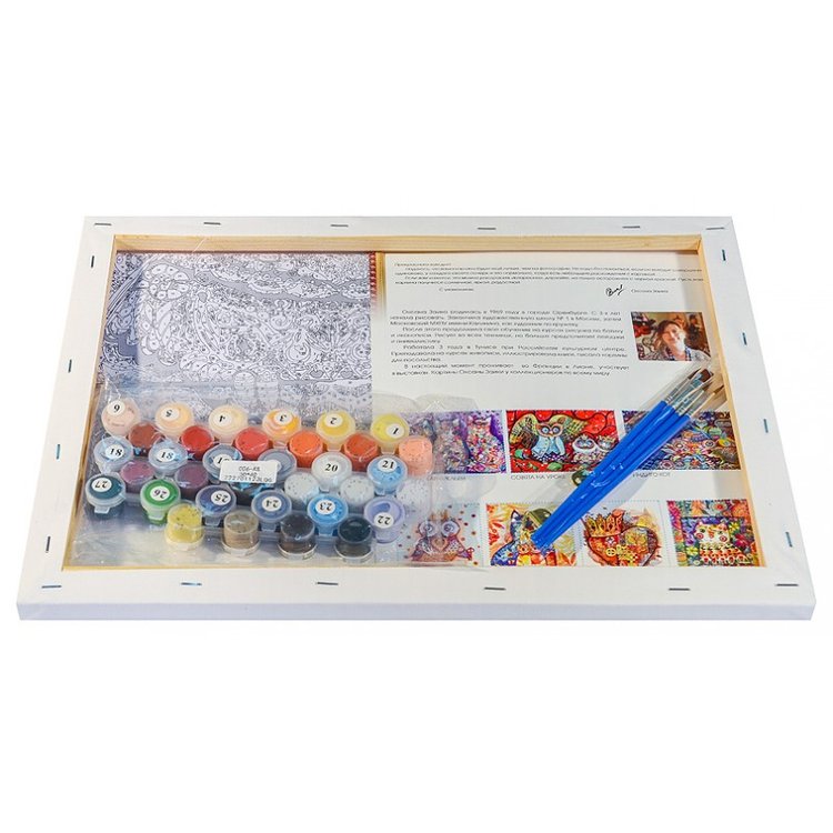 Картина по номерам «Волшебная сова» — картинка 3