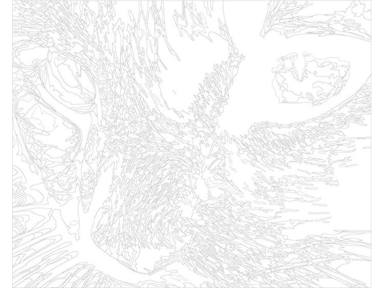 Картина по номерам «Кошачий взгляд» — картинка 3