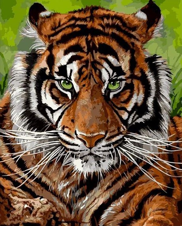 Картина по номерам «Суровый тигр»