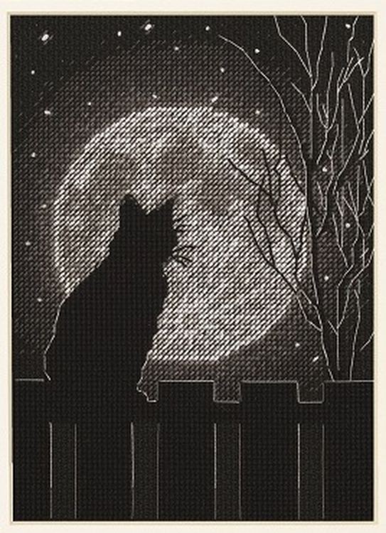 Набор для вышивания «Лунный черный кот»