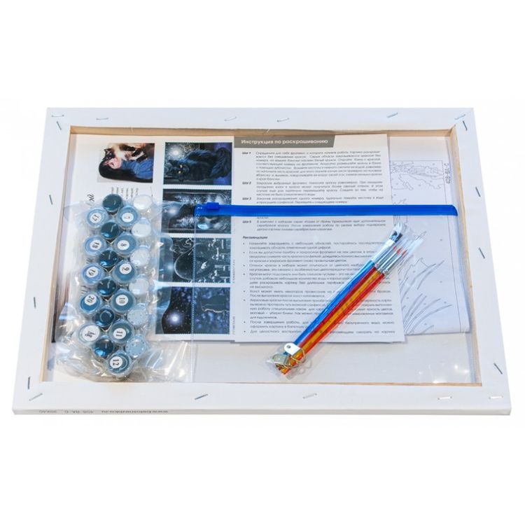 Картина по номерам «Лунная мистерия» — картинка 3