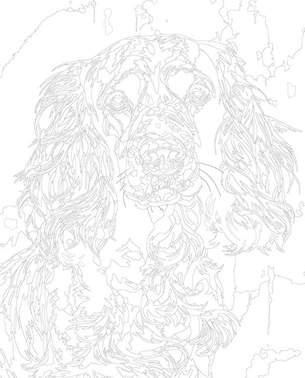 Картина по номерам «Собака Спаниель черная с белым» — картинка 3